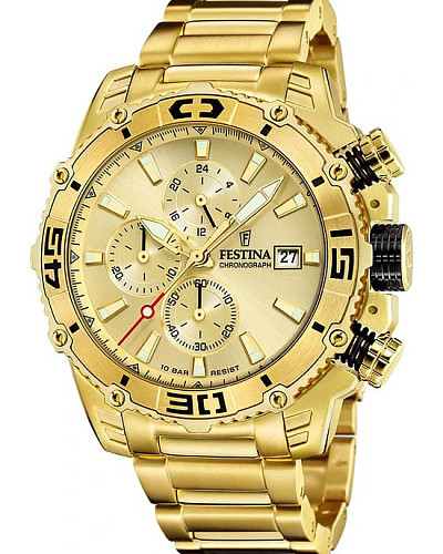 Festina Prestige F20492/1