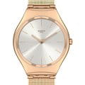 Swatch Swatch Skin Irony SYXG120M  SYXG120M кварцевые мужские часы  серебристый циферблат, браслет нержавеющая сталь с pvd-покрытием — вид спереди