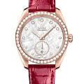 Omega 22058382055002