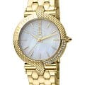 Just Cavalli Just Cavalli JC1L105M0085  JC1L105M0085 кварцевые женские часы перламутровый циферблат, браслет сталь c pvd покрытием — вид спереди