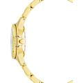 Anne Klein Anne Klein Plastic 3212YLGB,  сша женские часы на браслете сталь + пластик боковой вид