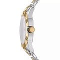 DKNY DKNY Park Ave Glitz DK1L019M0065,  сша женские часы на браслете нержавеющая сталь с ip-покрытием боковой вид