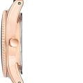 Anne Klein Anne Klein Plastic 3212NVRG , наручные женские часы фото под углом