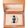 Omega Omega Seamaster Aqua Terra 220.12.38.20.01.001 Aqua Terra, наручные мужские часы фото под углом