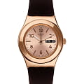Swatch Swatch I Medium Standard YLG701  YLG701 кварцевые женские часы золотой циферблат, браслет силикон — вид спереди